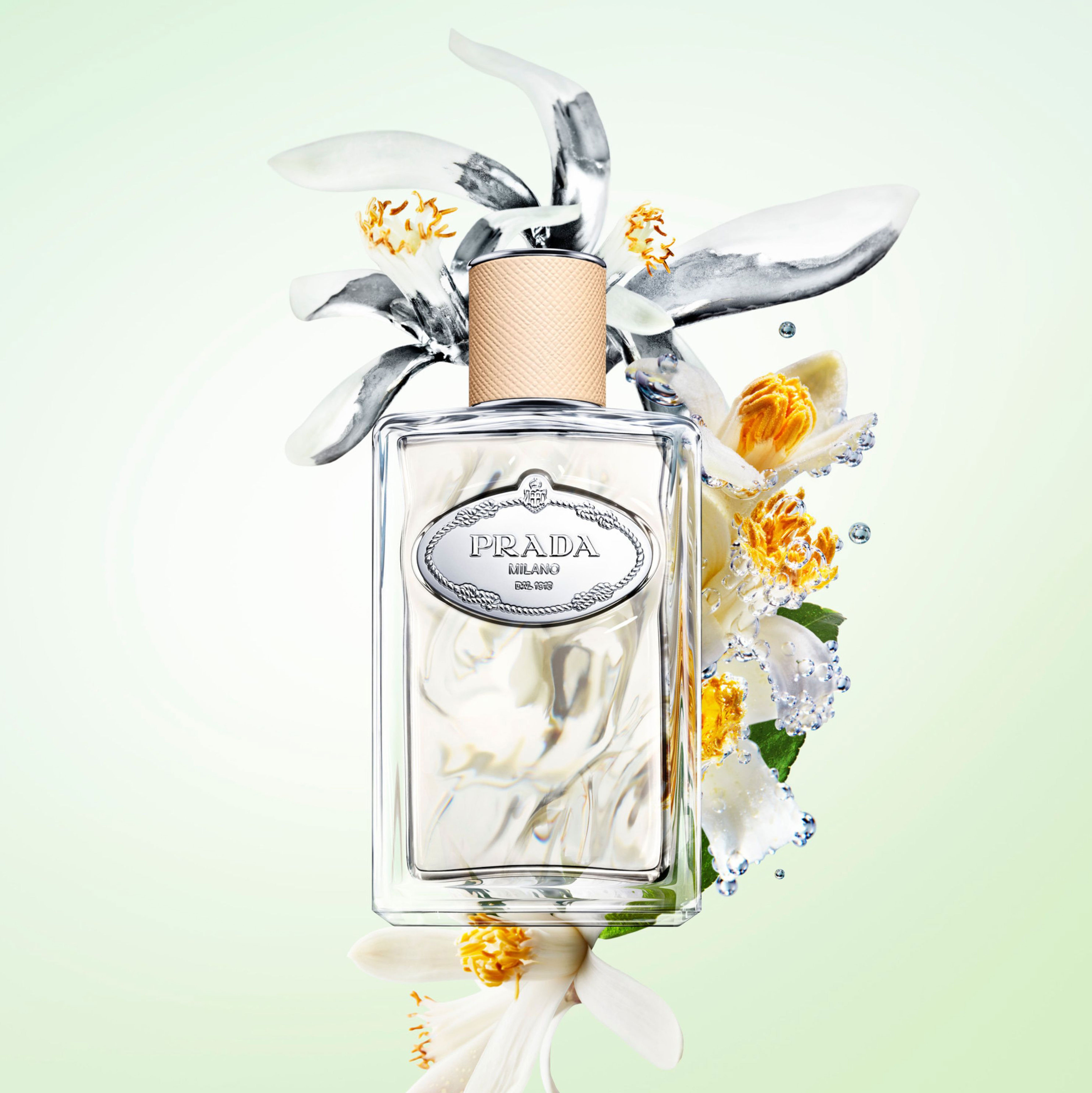 Prada infusion orange hotsell